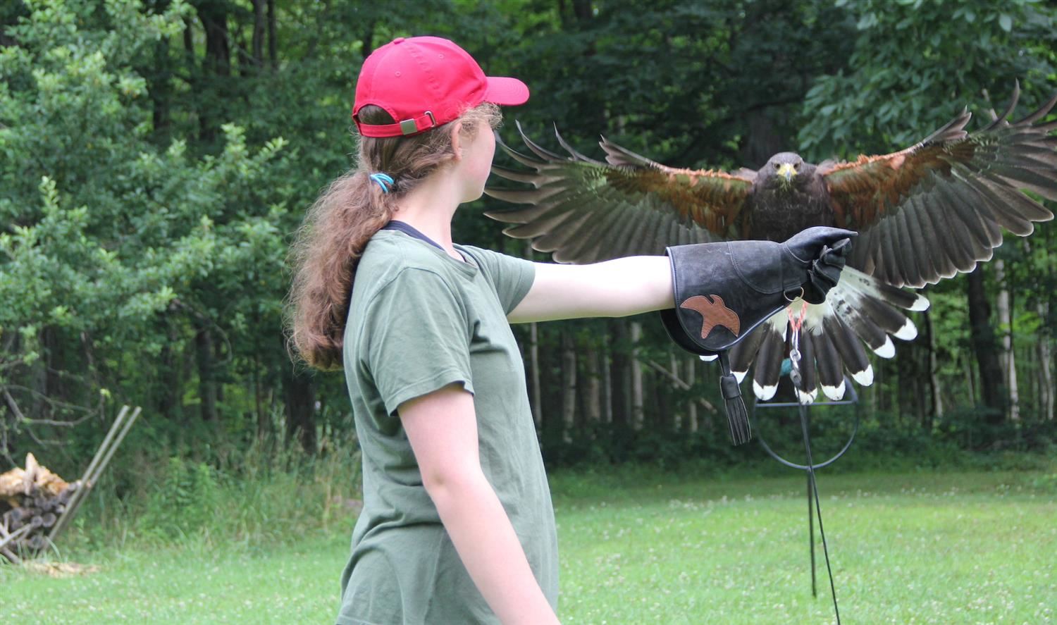Student doing falconry